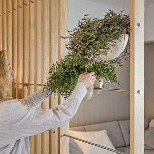 Una mujer coloca helechos y plantas colgantes en macetas semiesféricas blancas de WoodUpp, sujetas a varillas metálicas horizontales integradas en un separador de ambientes de madera de roble claro. La imagen muestra las macetas modulares y el panel listonado de WoodUpp, ideal para plantas interiores.
